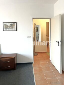Plně zařízené studio (1+kk, 46 m²) s balkonem s krásným výhl - 10