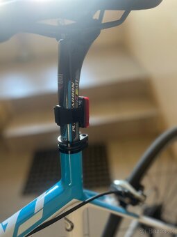 FOCUS Cayo XL - 10