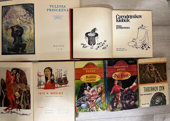 DETSKÉ RÔZNE KNIHY A LEPORELÁ - 10