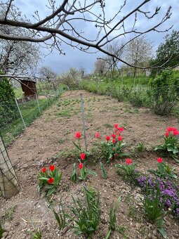 ZĽAVNENÉ • Na predaj vinohrad. domček s pivnicou a pozemkom - 10
