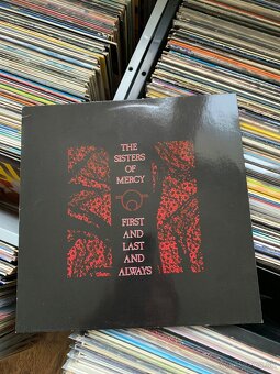 LP PLATNE - ROCK/POP - 10