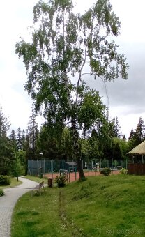 Predaj - 3-izbový byt vo Vysokých Tatrách - 10