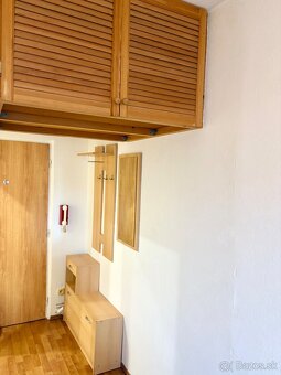 Prenajom 1 izbovy byt Senec Centrum - 10