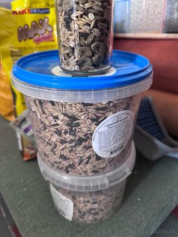 Predam velku klietku na morcata s dvoma morcatami - 10