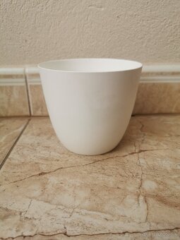 Izbové rastliny - 10