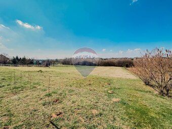 Rodinný dom s pozemkom 3 401 m2 - Malé Ripňany - na predaj - 10
