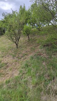 Zahradka 502 m2 - Spišská Belá - 10