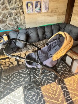 Predam kocik - 10