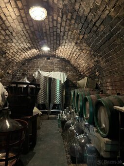 PREDAJ - Viničný dom s vinicou, Staré Predné Levice - 10