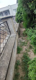 podlahár, čistenie, maliar - 10