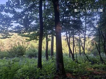 IBA U NÁS Pozemok 1,8 ha na okraji Púchova, Vieska-Bezdedov - 10