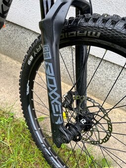 Kellys noid 70 - 10