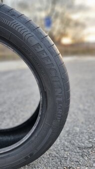 GoodYear EFFICIENTGRIP PERFORMANCE - 10