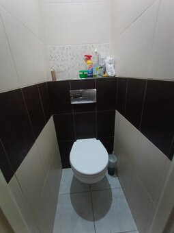 Na predaj zrekonštruovaný rodinný dom Svätoplukovo - 10