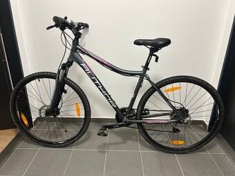 KROS BICYKEL AUTHOR HORIZON ASL 2023-24 MATNÁ ŠEDÁ - 10