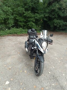 Suzuki v strom - 10
