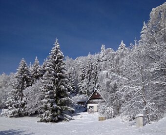 Predaj chata Banská Štiavnica /Richnavské jazerá - 10