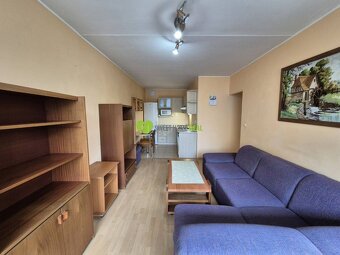 1,5i, OV, 42m2, LO, Terasa, Ružová ul. - 10