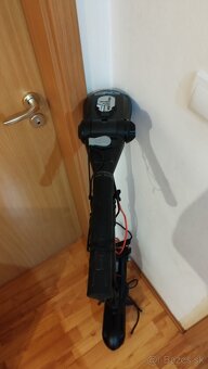 Haswing,starbaits,Delphin,Fox brolly - 10