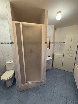 Prenájom - Apartmánový dom - 10