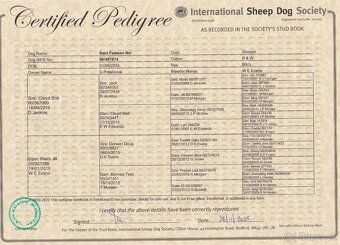 Border kólia s PP - 10