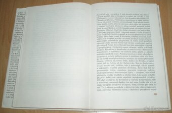 Podzim v kraji tygru - 10