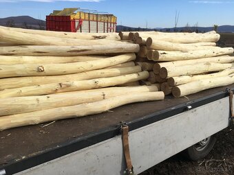 Predám agátové koly,stĺpy,rezivo,dosky. Doprava celá SR. - 10