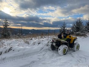 Can am renegade 800 - 10