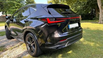 Lexus NX 2.5 Hybrid Executive Top (ML) - 10