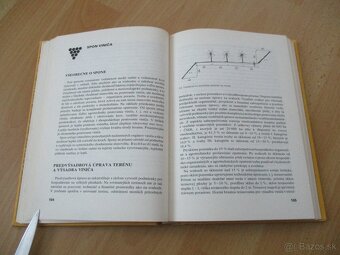 Rez a vedenie viniča - 10