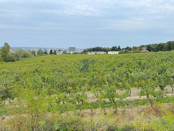 PREDAJ 5i rekreačný RD | Pekná cesta | Lesopark Rača - 10