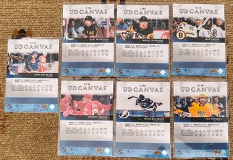 UD Canvas mix na predaj - 10