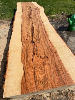 JASEŇOVÉ REZIVO OLIVE ASH / Očkové drevo / Live edge - 10