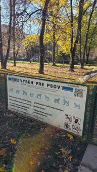 Predaj tehlový 3 izbák Košice Sever - 10