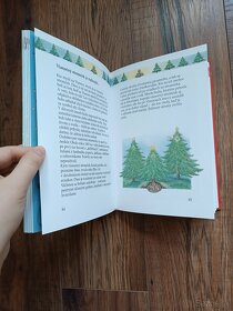 Moja najkrajšia vianočná kniha - 10