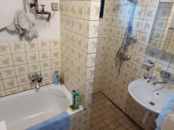 Samota Nová Baňa – Štále s hospodárskymi stavbami - 10