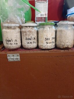 Hliva,Shitake,Maitake,Koralovec a iné - 10