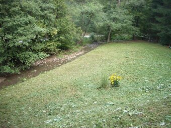 Na predaj veľký lesný pozemok Drietoma - Liešna, 6549m2 - 10