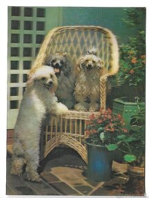 3D pohľadnice (61-80 ), čisté v top stave, 1 ks za 1 € - 10