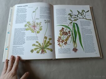 Pestrá priroda - 10