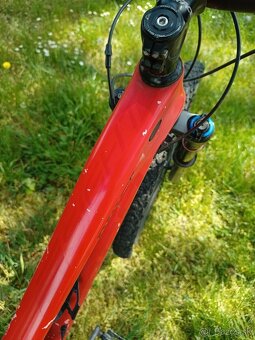 Predam carbon downhill NORCO - 10
