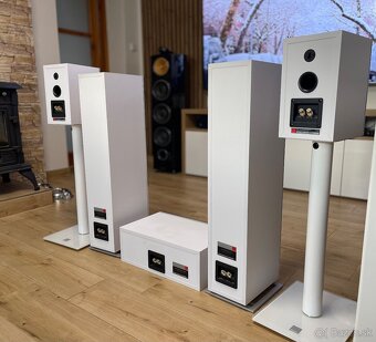 Dali Zensor 5.0 - 10