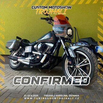 Harley Davidson Dyna Low rider - 10