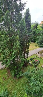3 izbový byt Banská Bystrica Fončorda - 10