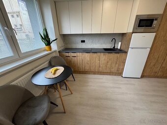 1 izbovy / studio apartment - 10