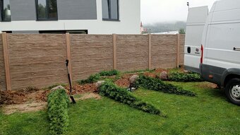 Tuja Smaragd, vavrínovec, červienka-Spišská Nová Ves, Kežmar - 10