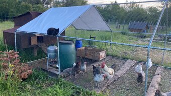 Pozemok v Bratislave - 10