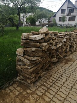 Pieskovec - 10