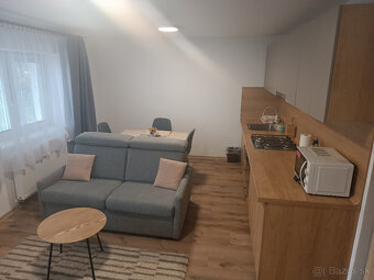 Trenčianske Teplice apartmány ubytovanie aj pre samoplatcov - 10