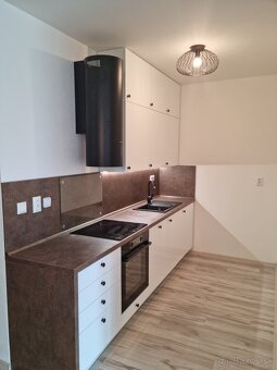 Prenajmem 2 izbový byt v centre LM - 10